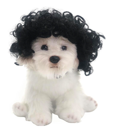 PawStyle Pet Costume Wig ⭐